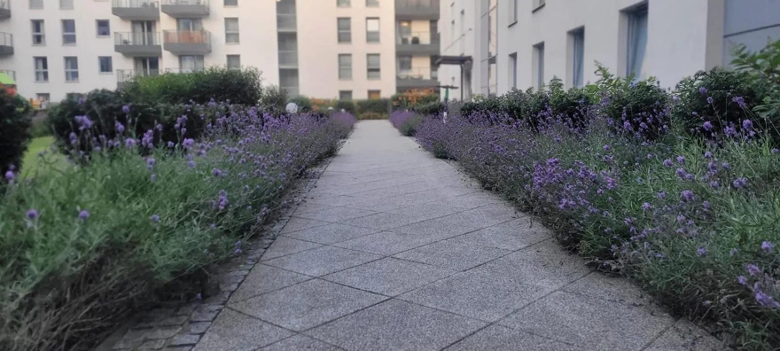 Riverside Garden Apartament Marina Gdansk 0*,